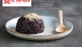 CƠM GẠO LỨT TÍM 