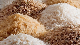 India non-basmati Rice exports up 34% in Apr-Jan