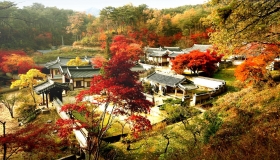 CHUYỂN PHÁT NHANH HCM - HÀN QUỐC